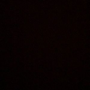 Meet your Posher, Yasmine